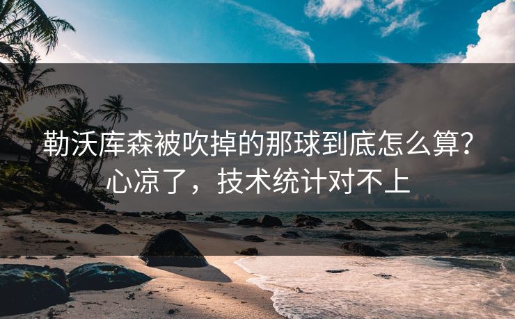 勒沃库森被吹掉的那球到底怎么算？心凉了，技术统计对不上