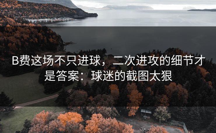B费这场不只进球，二次进攻的细节才是答案：球迷的截图太狠