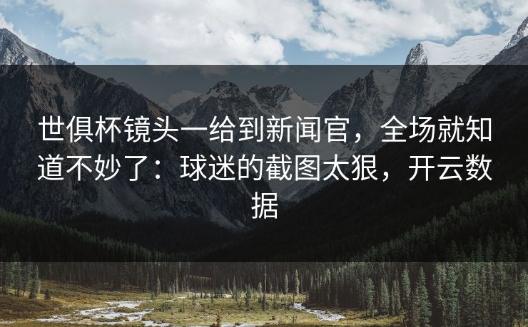 世俱杯镜头一给到新闻官，全场就知道不妙了：球迷的截图太狠，开云数据