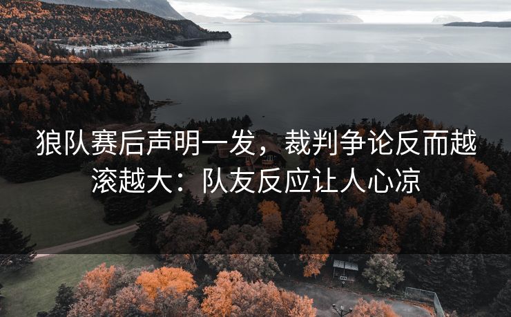 狼队赛后声明一发，裁判争论反而越滚越大：队友反应让人心凉